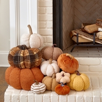 /c/seasonal/harvest/fall-harvest-decor/fall-pumpkin-patch